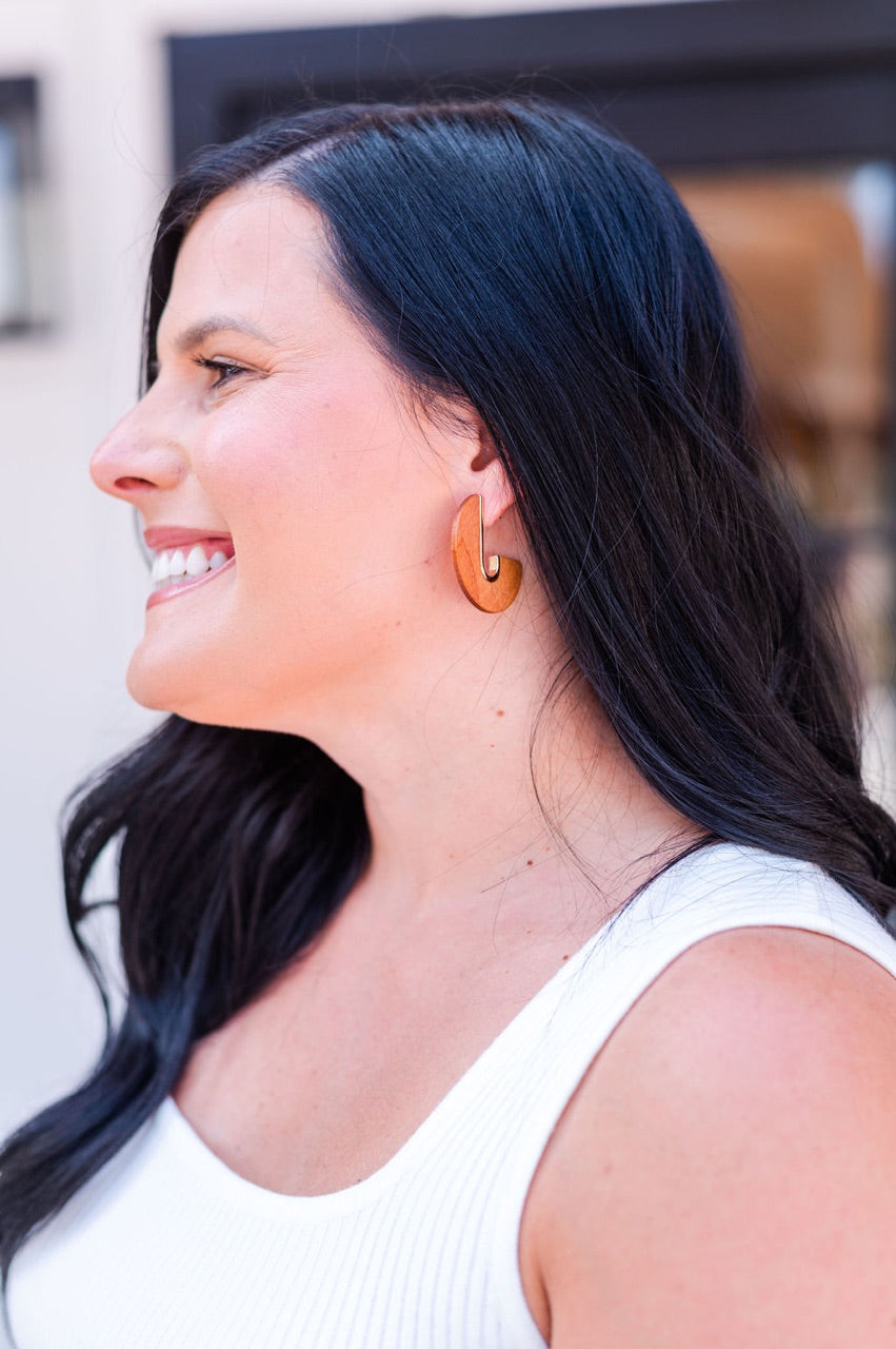 Brown Wood Cut Disk Earrings