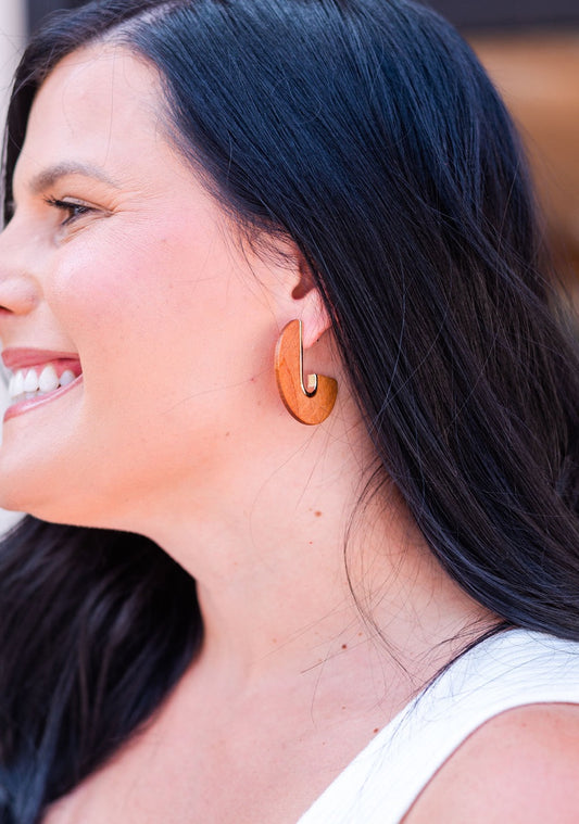 Brown Wood Cut Disk Earrings